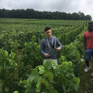 Champagne Farm Tour
