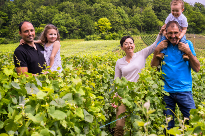 Champagne Farm Tour