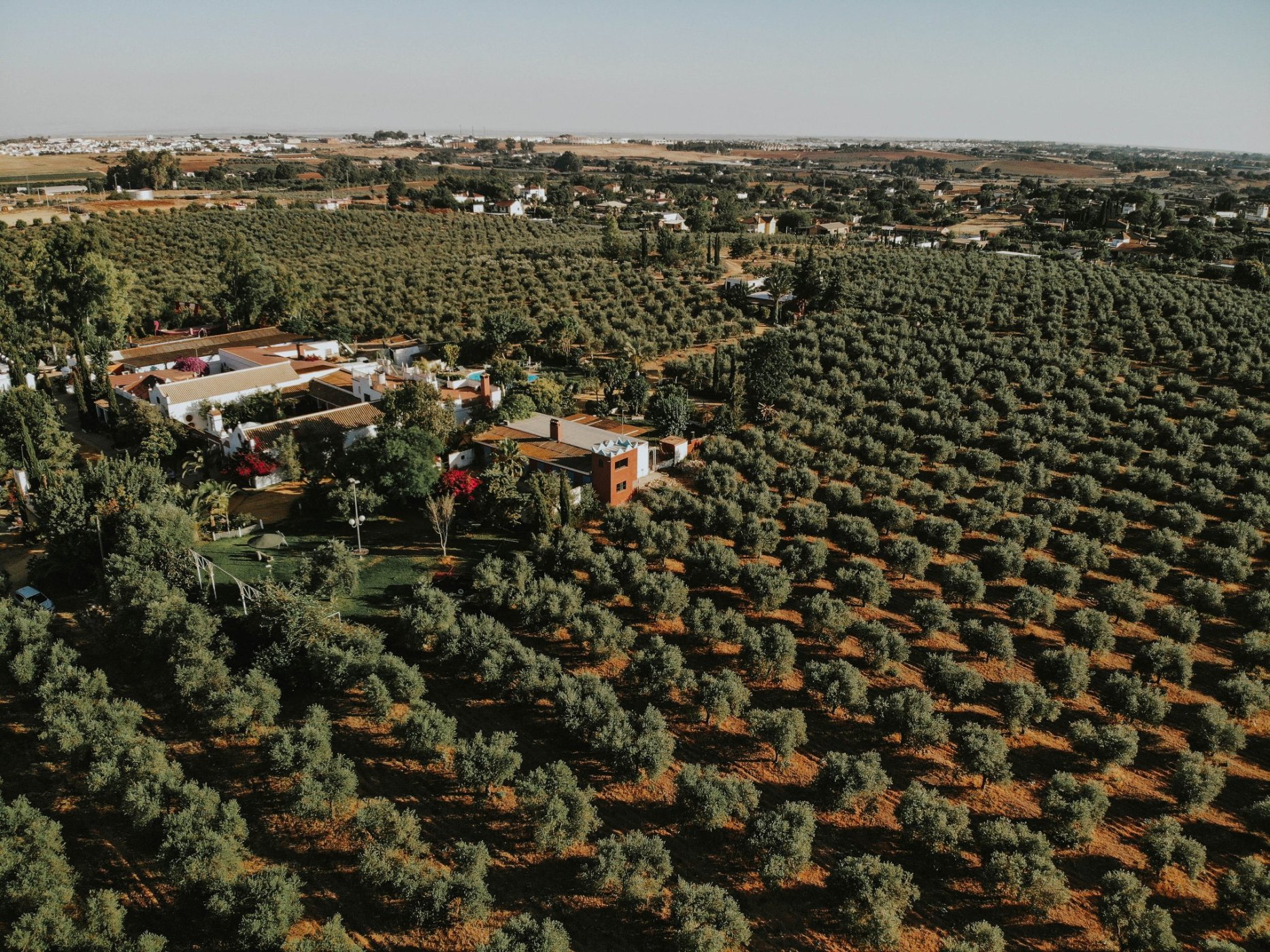 best-farm-tours-in-seville-farm-experiences-tours