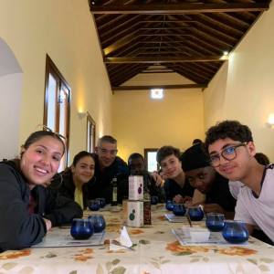 Sevilha Olive oil tour