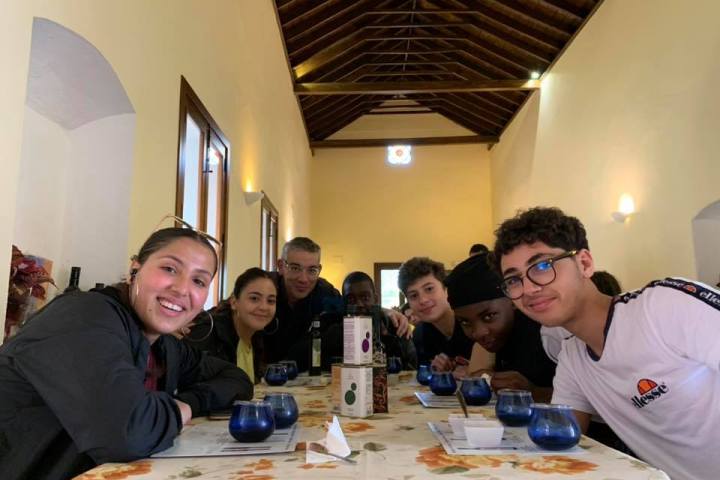 Sevilha Olive oil tour