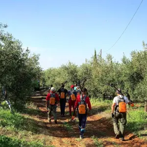 Sevilha Olive oil tour