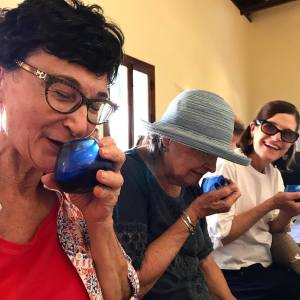 Sevilha Olive oil tour