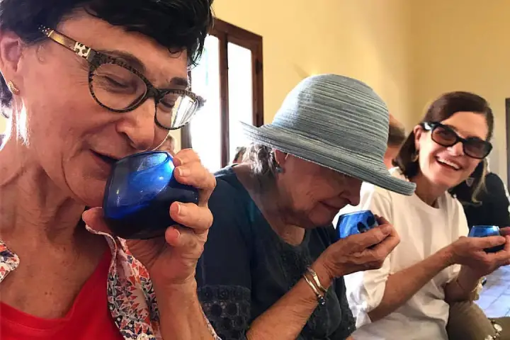 Sevilha Olive oil tour