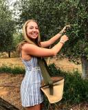 Sevilha Olive oil tour