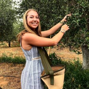 Sevilha Olive oil tour