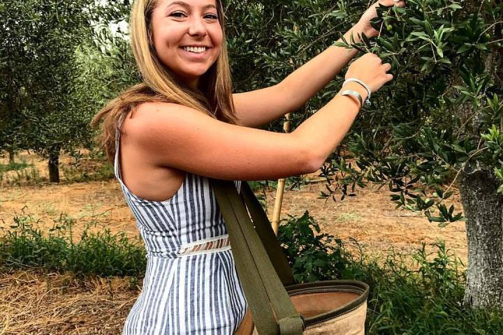 Sevilha Olive oil tour