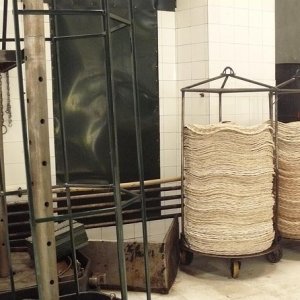 Sevilha Olive oil tour