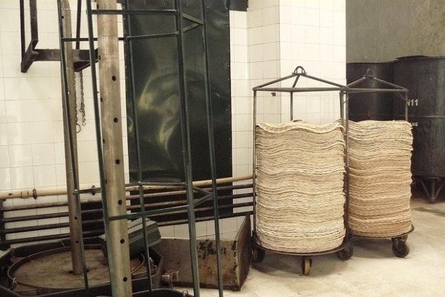 Sevilha Olive oil tour