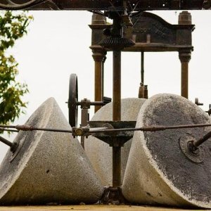 Sevilha Olive oil tour