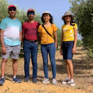 Sevilha Olive oil tour