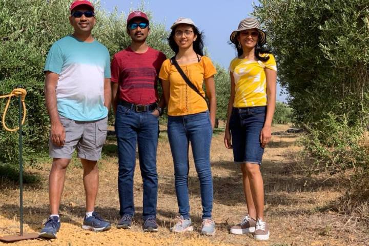 Sevilha Olive oil tour