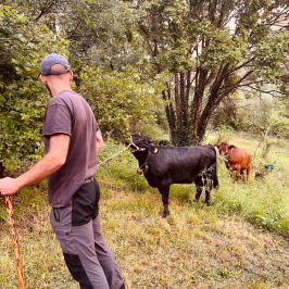 Tuscany Beekeeping Tour