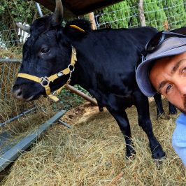 Tuscany Beekeeping Tour