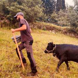 Tuscany Beekeeping Tour