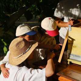 Tuscany Beekeeping Tour