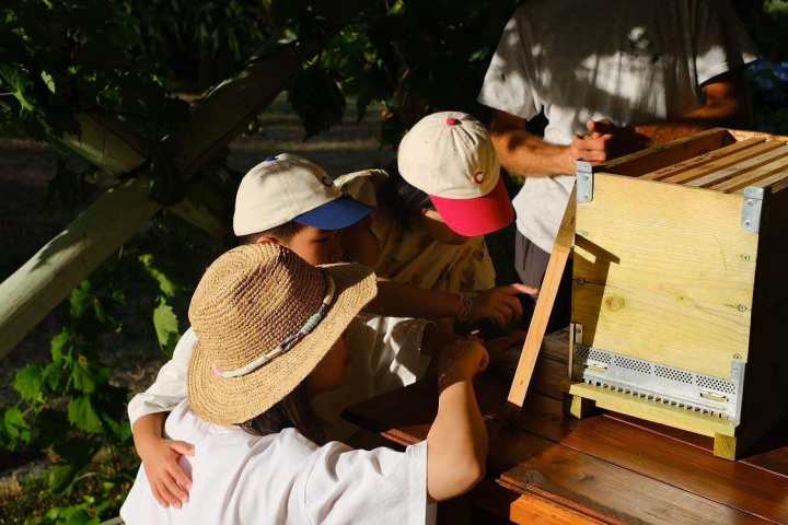 Tuscany Beekeeping Tour