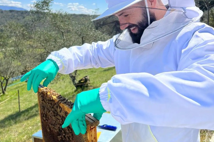 Tuscany Beekeeping Tour