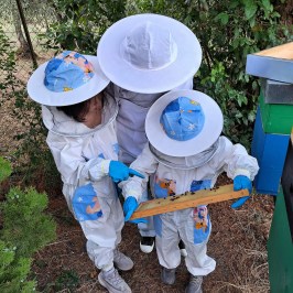 Tuscany Beekeeping Tour