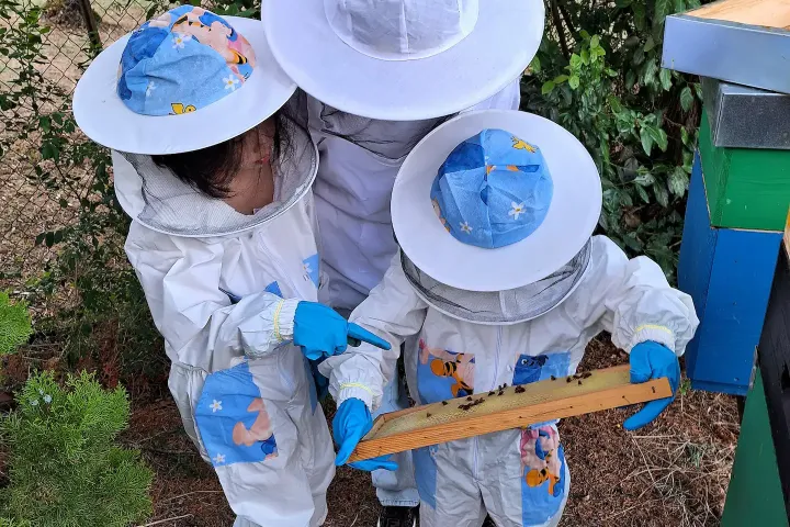 Tuscany Beekeeping Tour