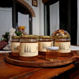 Tuscany Beekeeping Tour