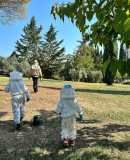 Tuscany Beekeeping Tour