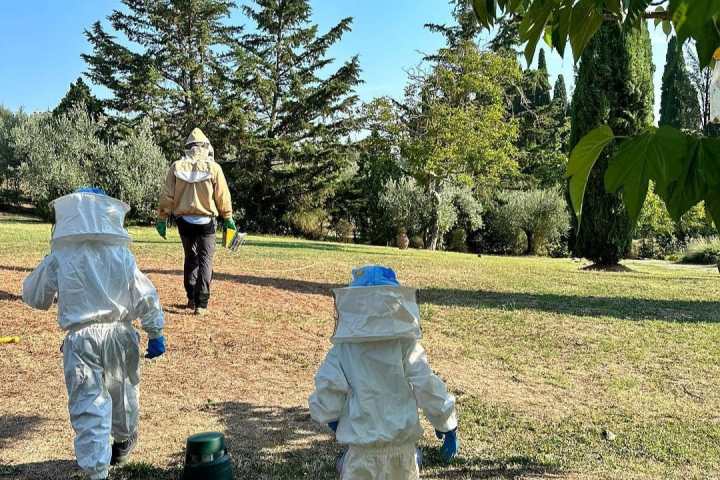 Tuscany Beekeeping Tour