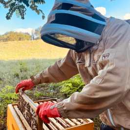 Tuscany Beekeeping Tour