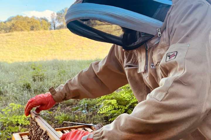 Tuscany Beekeeping Tour