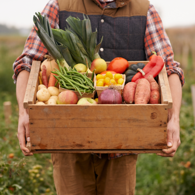 a person sitting at a fruit stand