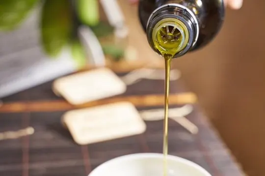 Olive oil tour Madrid