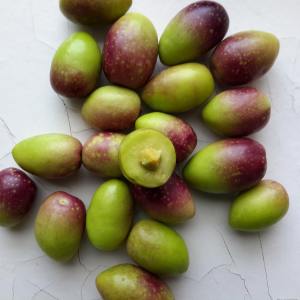 Olive oil tour Madrid