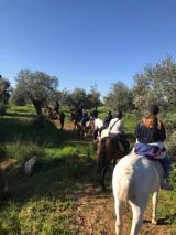 Horseback riding in Seville