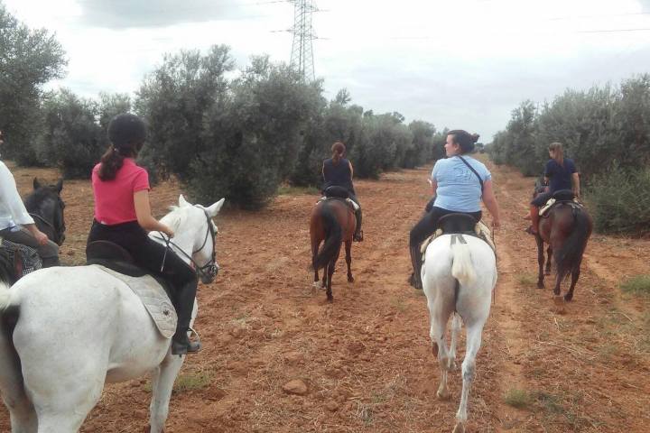 Horseback riding in Seville
