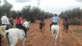 Horseback riding in Seville