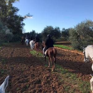 Horseback riding in Seville