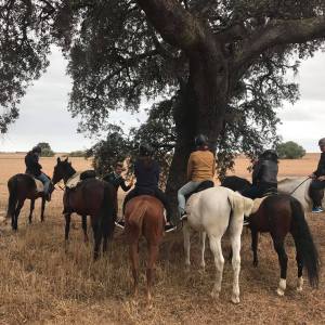 Horseback riding in Seville