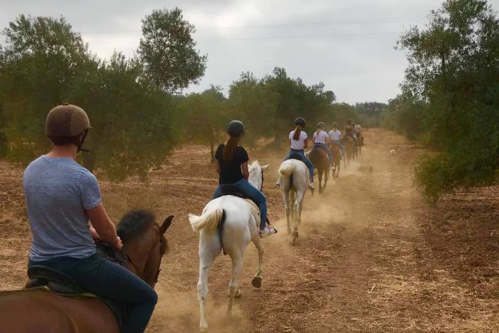 Horseback riding in Seville