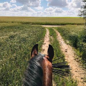 Horseback riding in Seville