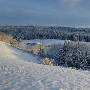 Donkey & Shepherd's tour in France
