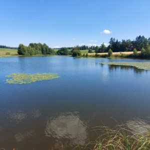Donkey & Shepherd's tour in France
