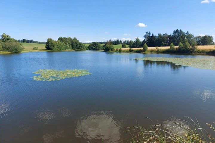 Donkey & Shepherd's tour in France