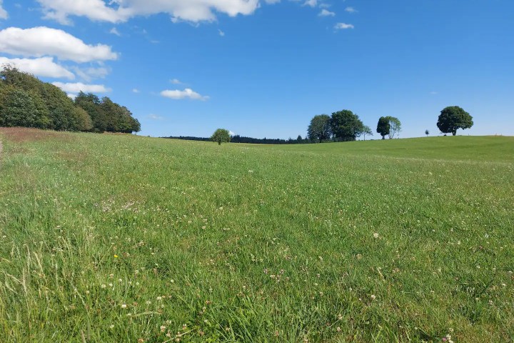 Donkey & Shepherd's tour in France