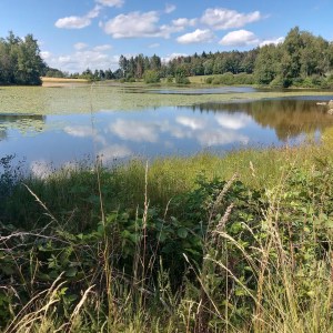Donkey & Shepherd's tour in France