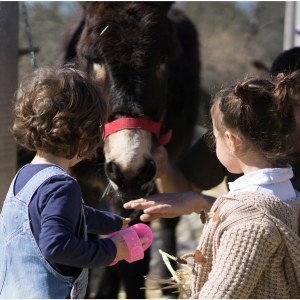 a group of people looking at a dog