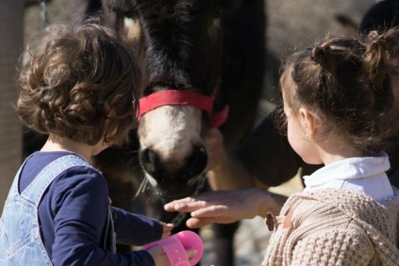 a group of people looking at a dog