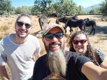 donkey farm tour madrid