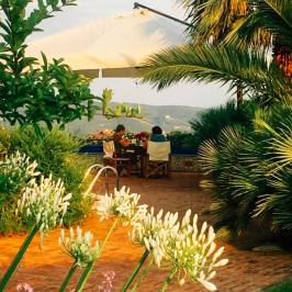 Cooking Class & Olive Oil Tour