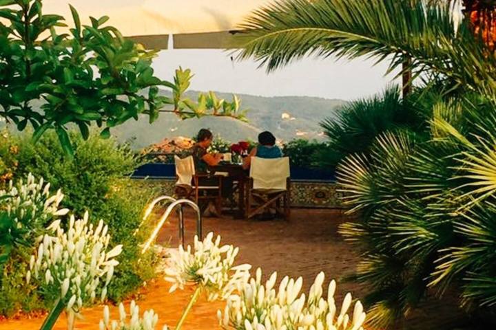 Cooking Class & Olive Oil Tour