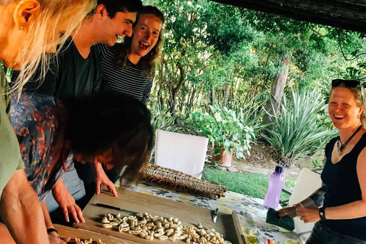 Cooking Class & Olive Oil Tour